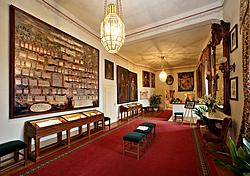 Hradn&iacute; muzeum - S&aacute;l krumlovsk&yacute;ch v&eacute;vodů