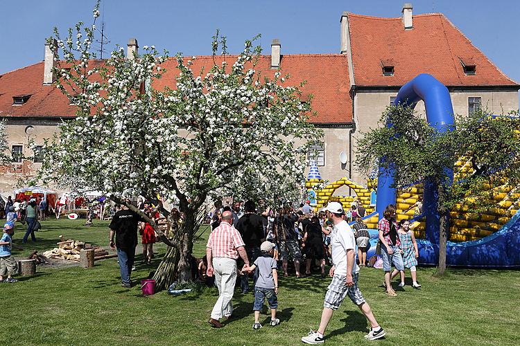 Gib Angaben für die Ansichtskarte ein