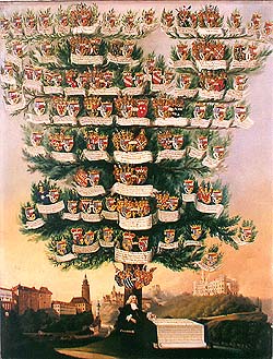 Schwarzenberg family tree 
