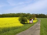 Národní park a chráněná krajinná oblast Šumava, foto: Lubor Mrázek