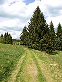 Národní park a chráněná krajinná oblast Šumava, foto: Lubor Mrázek