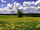 Národní park a chráněná krajinná oblast Šumava, foto: Lubor Mrázek