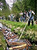 Ukázka plavení dříví na Schwarzenberském kanálu v oblasti Ježové, 11. května 2002, foto: Lubor Mrázek