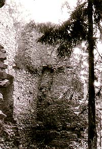 Hrádek Pořešín, remains of inhabitable palace 