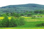 Kamenná - Žumberk - Děkanské Skaliny - Ličov, 22 km Kamenná - Žumberk - Děkanské Skaliny - Ličov, 22 km