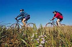 Cyklotouristik um Lipno 