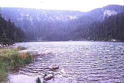 Plešné lake II. 