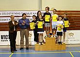 Badminton 