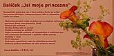 Balíček „Jsi moje princezna“ 