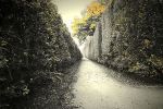 GALERIE - stálá expozice fotografií " Český Krumlov z jiného pohledu"