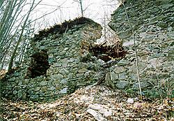 Castle Velešín, remains of walls 