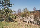 8605b Dobročkovské hadce 