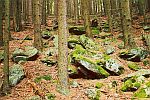 Ševcova hora (Schusterberg)