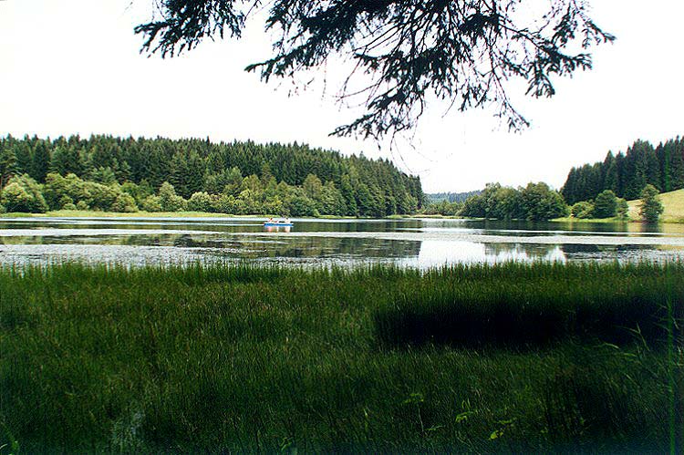 8704b Pláničský rybník
