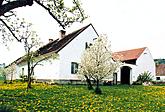 Nová Ves 