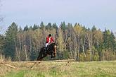 Ridingclub NOWA 