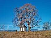 Kaple 