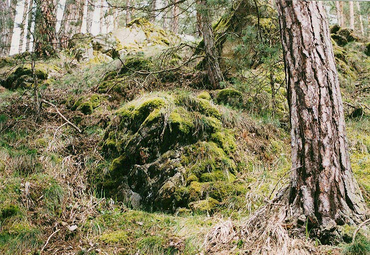 Natur