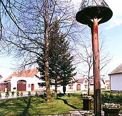 Holubov 