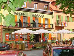 Hotel Maxant Frymburk 