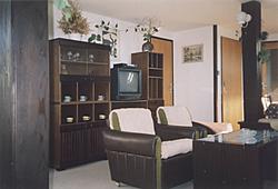 Penzion Závodský - apartment 