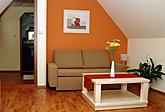 Apartment - living room 