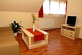 Apartment - living room 