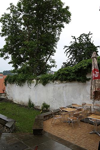 Terasa