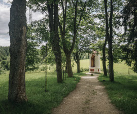 Walk to pilgrimage site on Křížová hora
