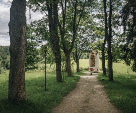 Walking route to Křížová hora