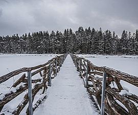 Der winterliche Olšina-Teich und Schlittschuhlaufen in Horní Planá