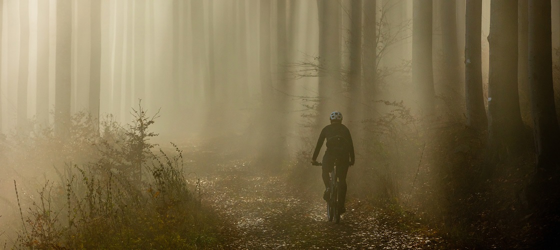 Aktivní dovolená, výlety na kole, zdroj: DMO Český Krumlov, z. s., foto: Libor Sváček