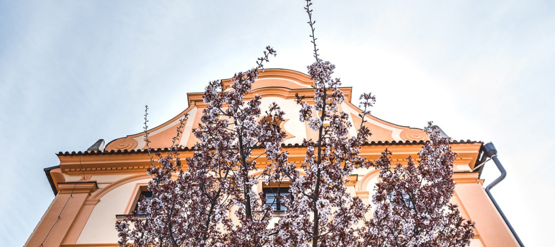 Spring in Český Krumlov, photo by: Tomáš Perzl