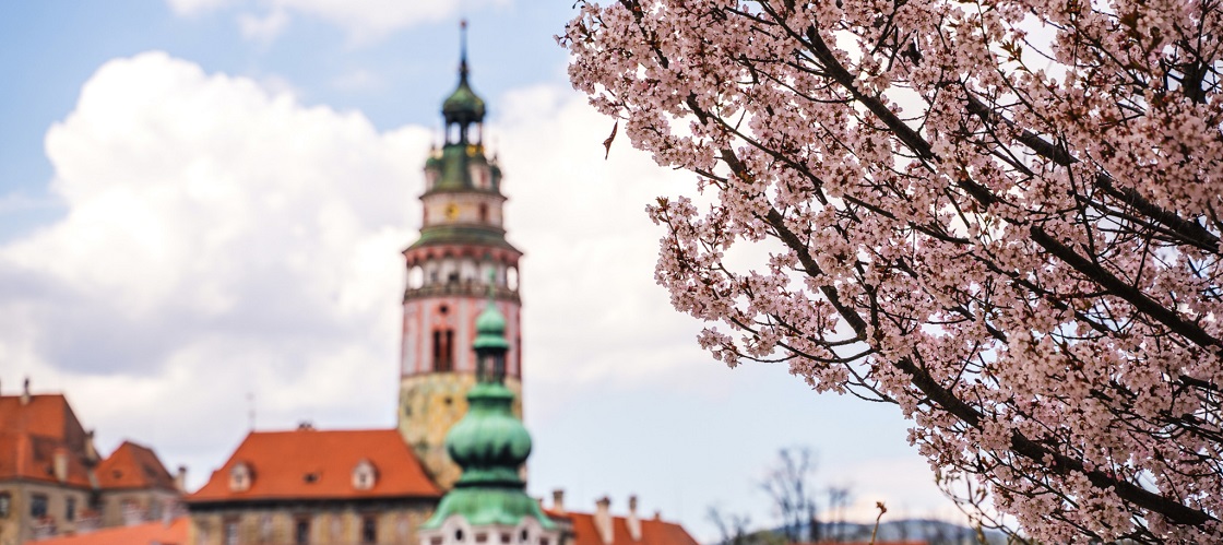 Český Krumlov in Spring, source: DMO Český Krumlov Region, z. s., photo by: Tomáš Perzl