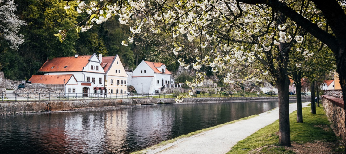 Jarní pohled na Vltavu a Rybářskou uličku z Hradební ulice, zdroj: DMO Český Krumlov Region, z. s., foto: Tomáš Perzl