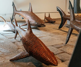 Exhibitions