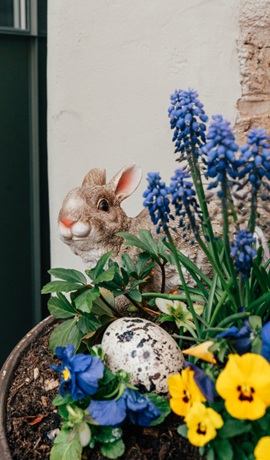 Velikonoční program