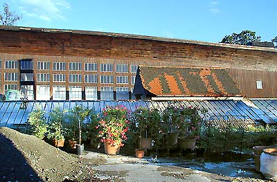 Zámek Český Krumlov, zásobní zahradnictví, v pozadí Oranžérie, foto: Zdena Flašková 
