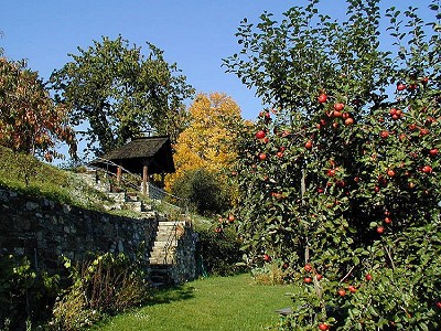 Zámecká zahrada Český Krumlov, zásobní zahradnictví, 2000, foto: Lubor Mrázek 