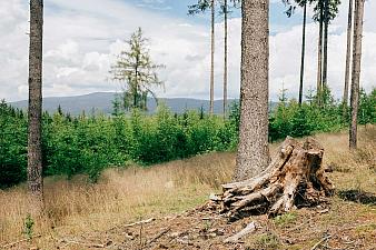 Fun and exploration on Dubík Hill with a return through Plešivec