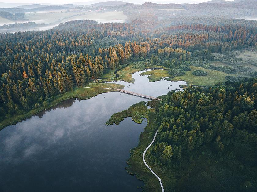 Panenskou přírodou k rybníku Olšina