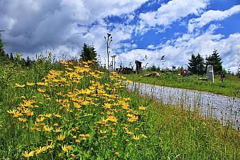 Durch unberührte Natur zum Olšina-Teich