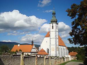 Durch unberührte Natur zum Olšina-Teich