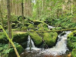 Vyšší Brod (Hohenfurth) und Umgebung