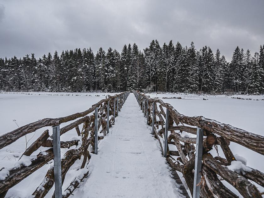 Der winterliche Olšina-Teich und Schlittschuhlaufen in Horní Planá