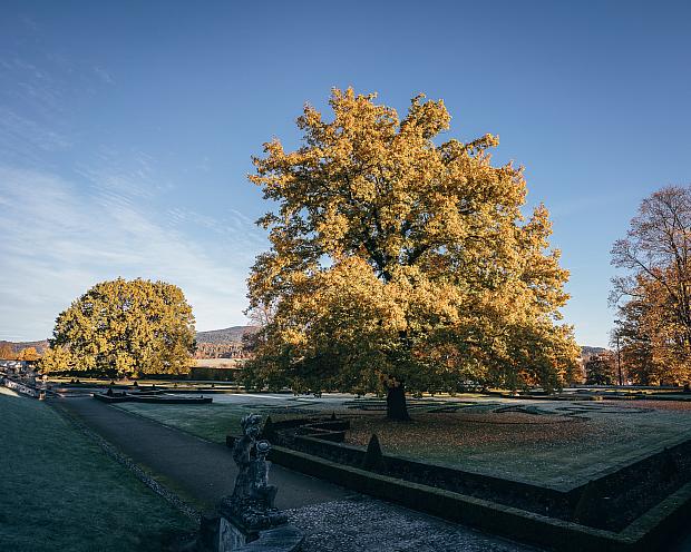 Castle Garden