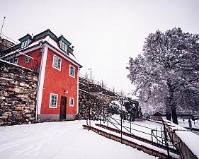 Egon Schiele Garden Studio