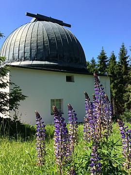 Talfahrt vom Berg Kleť auf Outdoor-Rollern