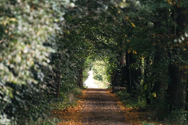 Arboretum der Gedenkbäume