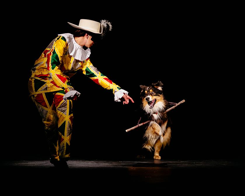 Divadelní Fimfárum – Festival divadla pro děti a mládež